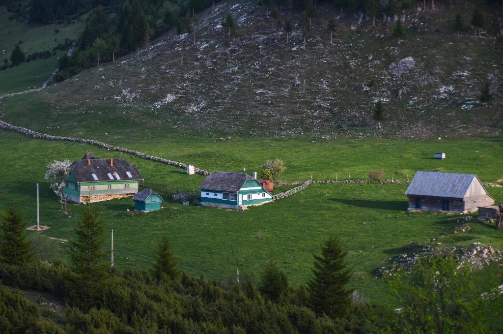 Cheile Gradistei Fundata Resort エクステリア 写真